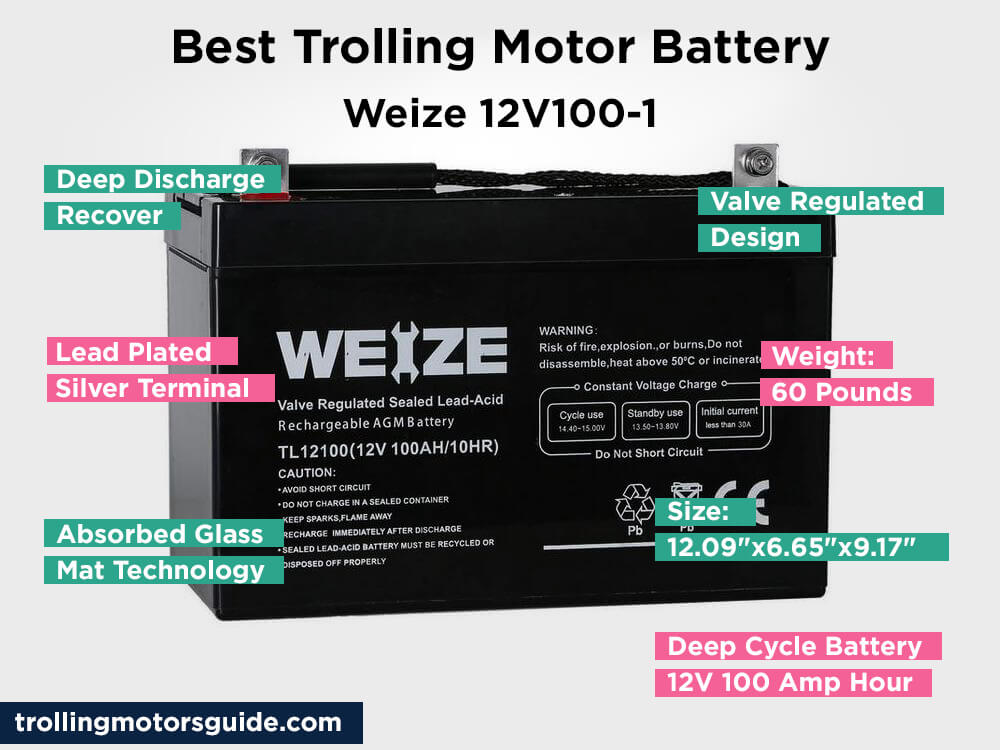 Weize 12V100-1 Review, Pros and Cons